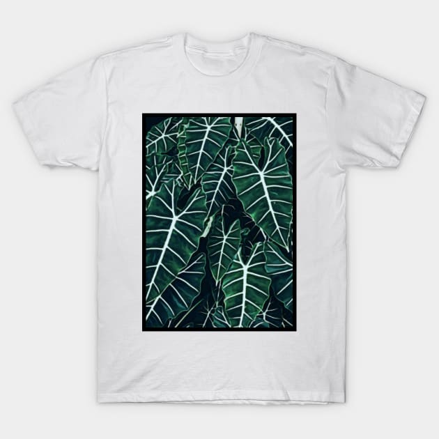 Alocasia Frydek T-Shirt by Blooming Beetle